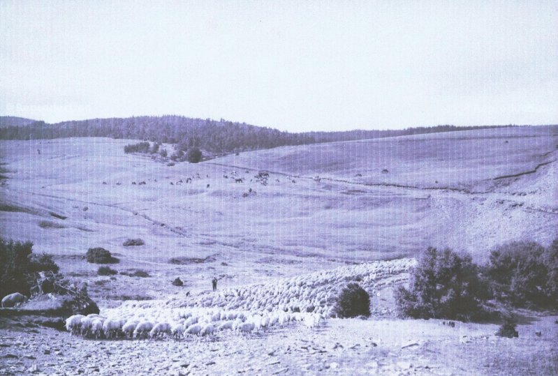 BALADE ANIMÉE - MERCOIRE D'AUTREFOIS, PAYS DE TRANSHUMANCE