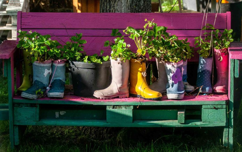 Un jardin à la médiathèque