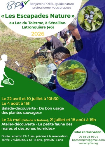 Atelier-découverte "La petite faune des mares et zones humides"  au lac du Tolerme