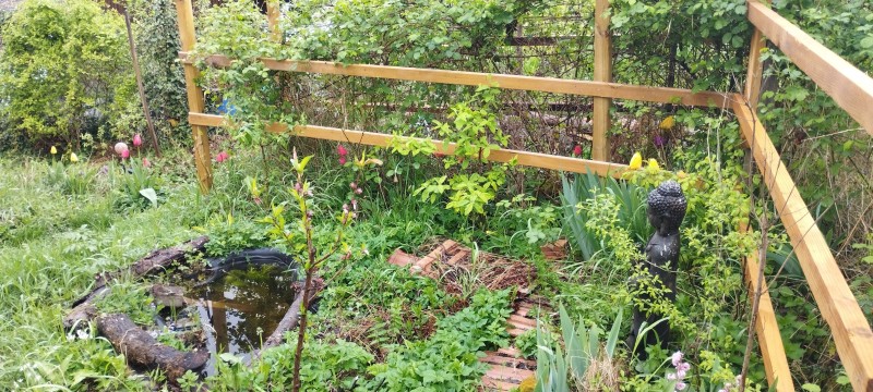 Le Jardin des Folles Envies, lieu favorable à la biodiversité