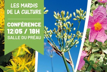 CONFERENCE "LES PLANTES D'AQUI"