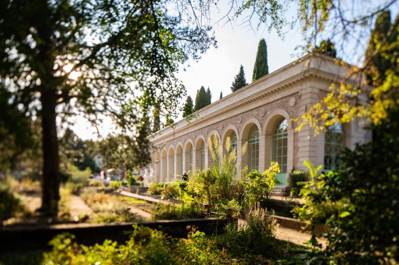 À la découverte du Jardin des Plantes de Montpellier
