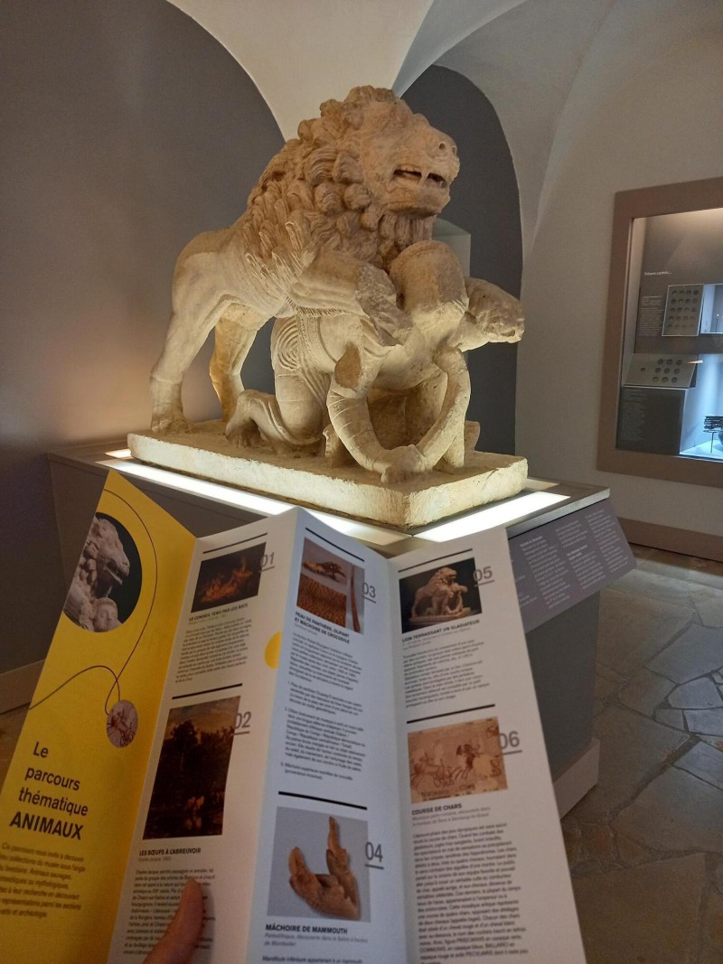 Visite libre des collections permanentes