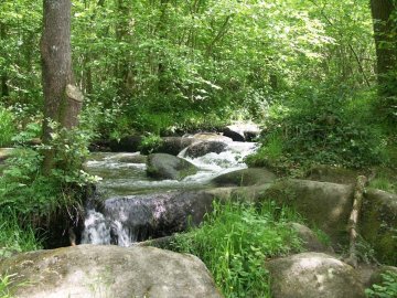 Contes au bruit des cascades
