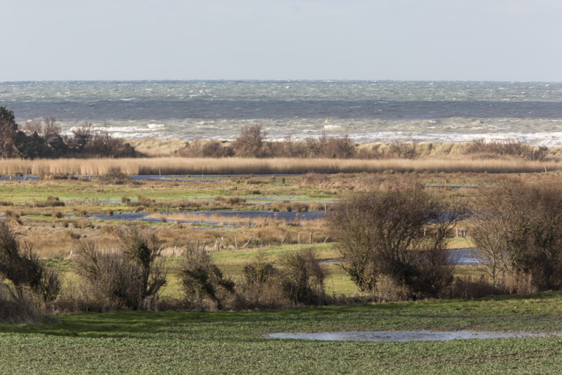 Les trésors du marais de Ver-sur-Mer/ Meuvaines