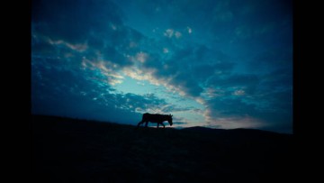 FILM DOCUMENTAIRE
