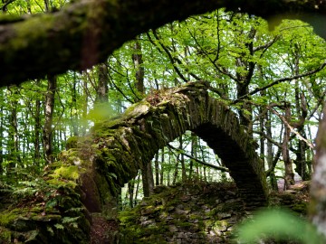 ESCAPADES EN MONTAGNE NOIRE - PRADELLES-CABARDÈS N°7