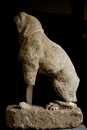 Visite commentée du musée et du site archéologique
