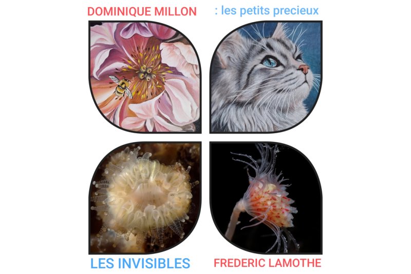 Exposition de peintures et photographies