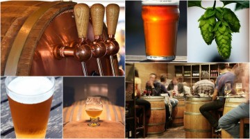 Arden Brew Fest