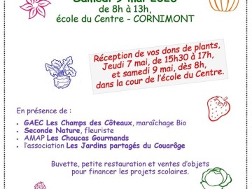 Marché aux plantes