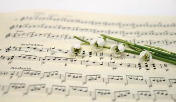 Festival de l'été en Périgord Vert : Concert