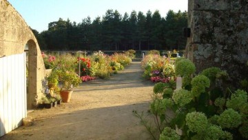 Rendez-vous aux Jardins - Parc et jardins du château de Tournelay