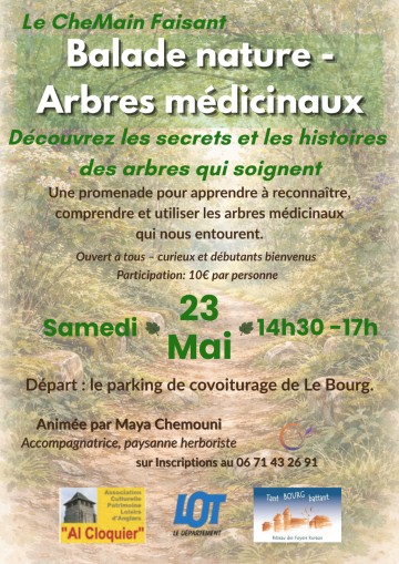 Balade nature : arbres médicinaux à le Bourg