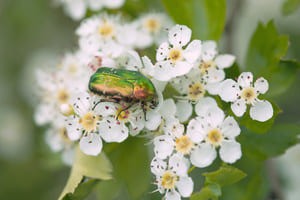 Balade vélo à la découverte de la biodiversité