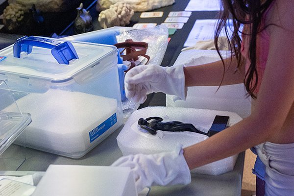 Urgence au laboratoire de conservation - restauration