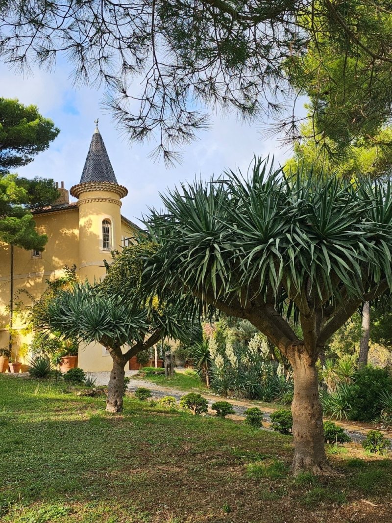 Visite guidée du jardin botanique