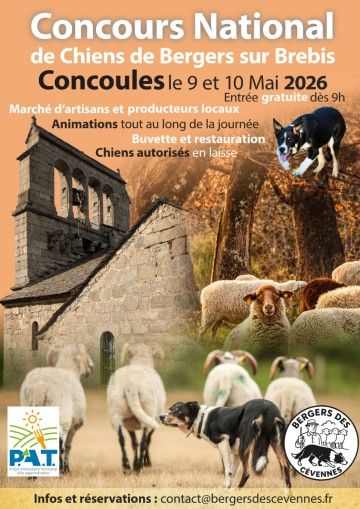 Concours National de Chiens de Bergers sur Brebis