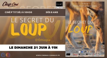 Le secret du loup d'Ethiopie