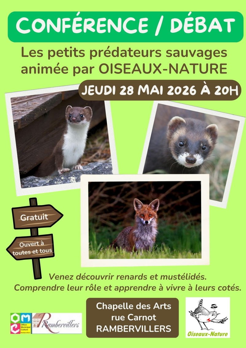 Conférence / Débat : les petits prédateurs sauvages