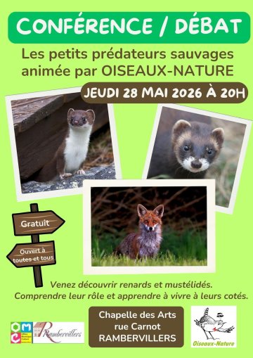 Conférence / Débat : les petits prédateurs sauvages
