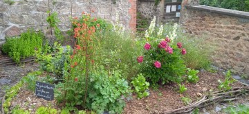 Visites guidées du jardin médiéval de La Chapelle de Mardore