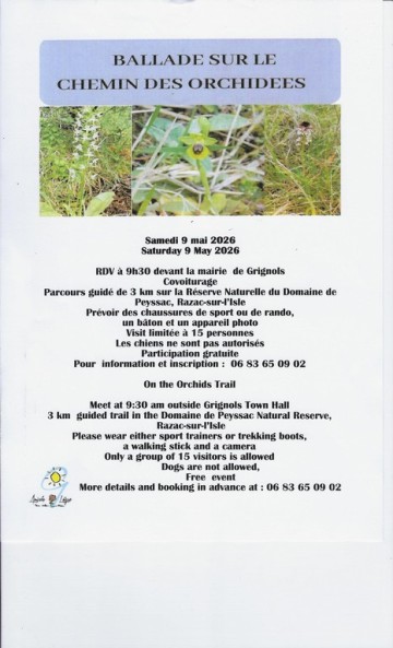 Chemin des Orchidées