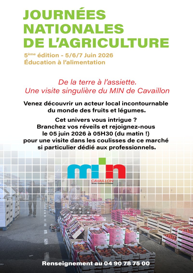 De la terre à l’assiette - une visite nocturne du MIN de Cavaillon !