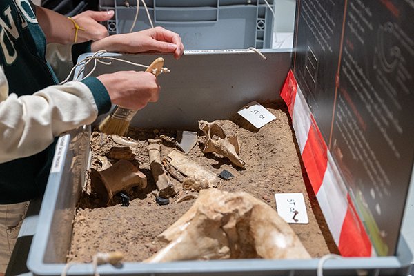 Premiers pas en archéologie