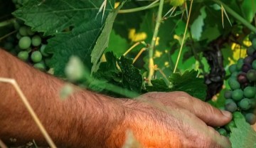 Le Rallye de la Gastronomie - Maison Dupré