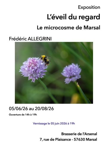 L’éveil du regard