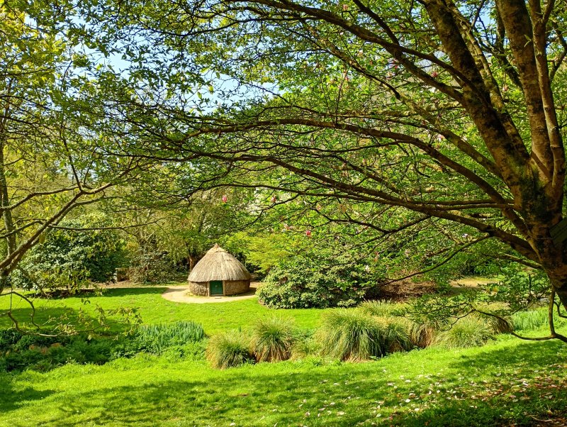 Visites guidées gratuites du Jardin botanique
