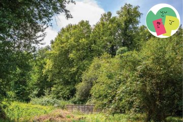 Visite de la zone humide du parc de Mussonville