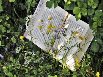 Carnets nature et autres créations végétales