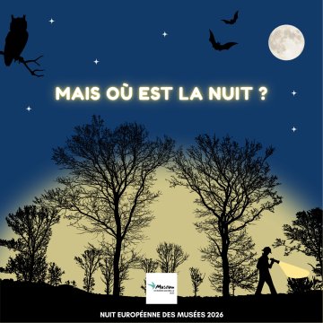 Mais où est la nuit ?