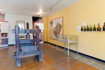 Visite libre des collections permanentes