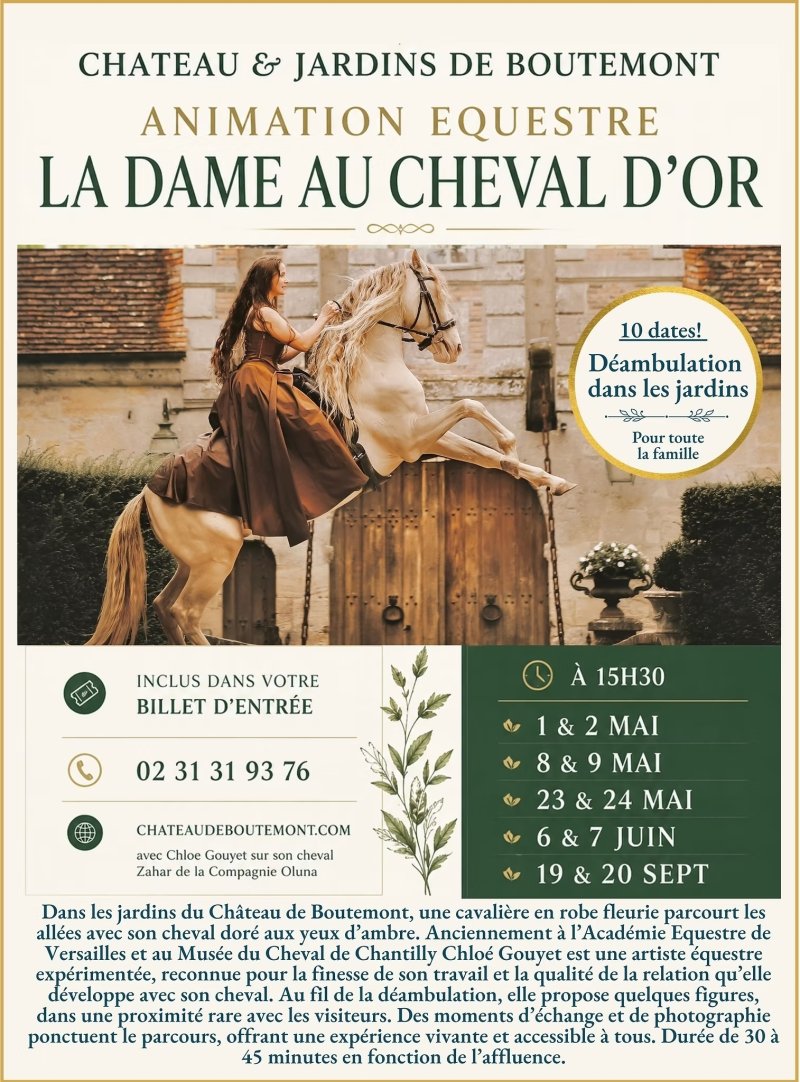 Animation équestre : la dame au cheval d'or