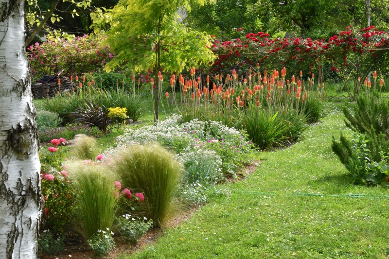 Visite libre d’un jardin pour la restauration de la biodiversité du Sud-Essonne