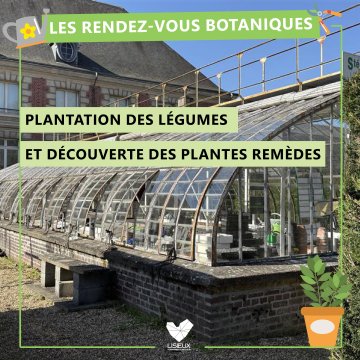 RDV botaniques : Plantation des légumes et découverte des plantes remèdes