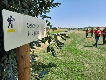 Oenorando sur le Sentier de la sigillée : balade commentée