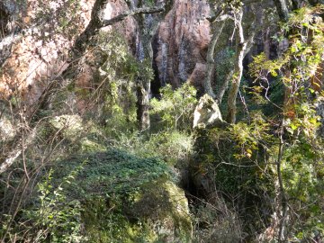 Visite commentée des grottes de La Bouverie