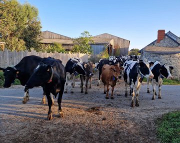 Visite de la ferme