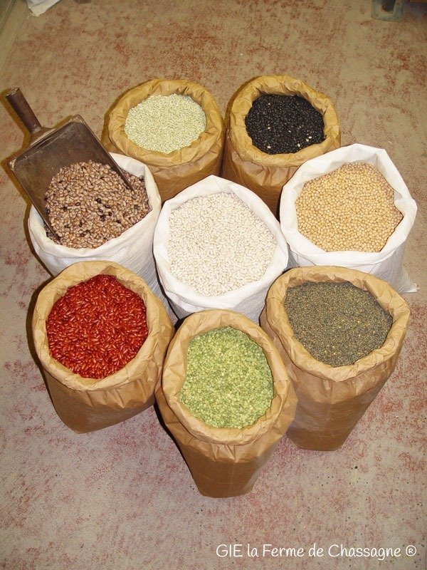 Marché bio en fête : démonstration culinaire et dégustation