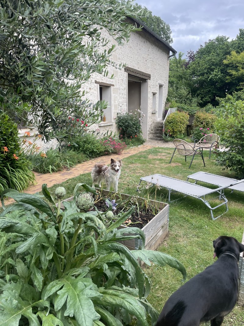 Visite du Jardin de la mode : Défilé de mode