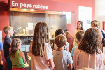 Visites guidées des collections