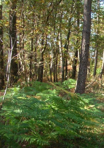 Balade nature à Leugny