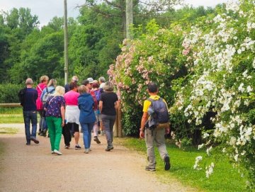 balade sur le sentier de la rose