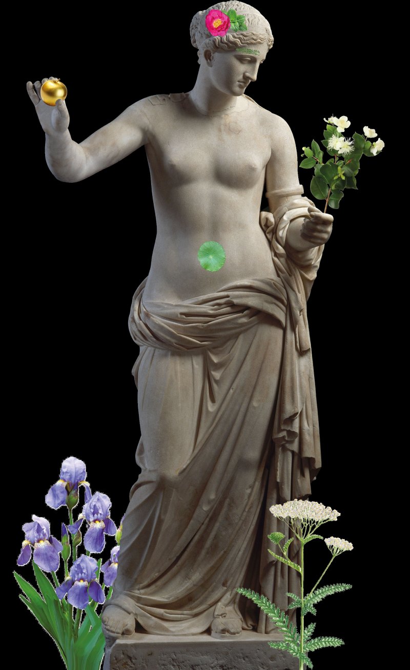 Histoires de plantes