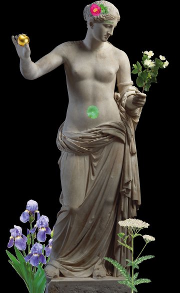 Histoires de plantes