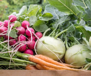 Tous à la Ferme du Héron : ateliers et échanges autour de la nature et de l’alimentation